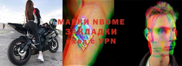 прущие грибы Надым