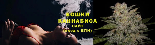 PSILOCYBIN Аркадак