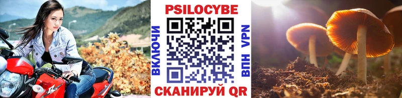 наркотики hydra онион Псилоцибиновые грибы мицелий Камбарка